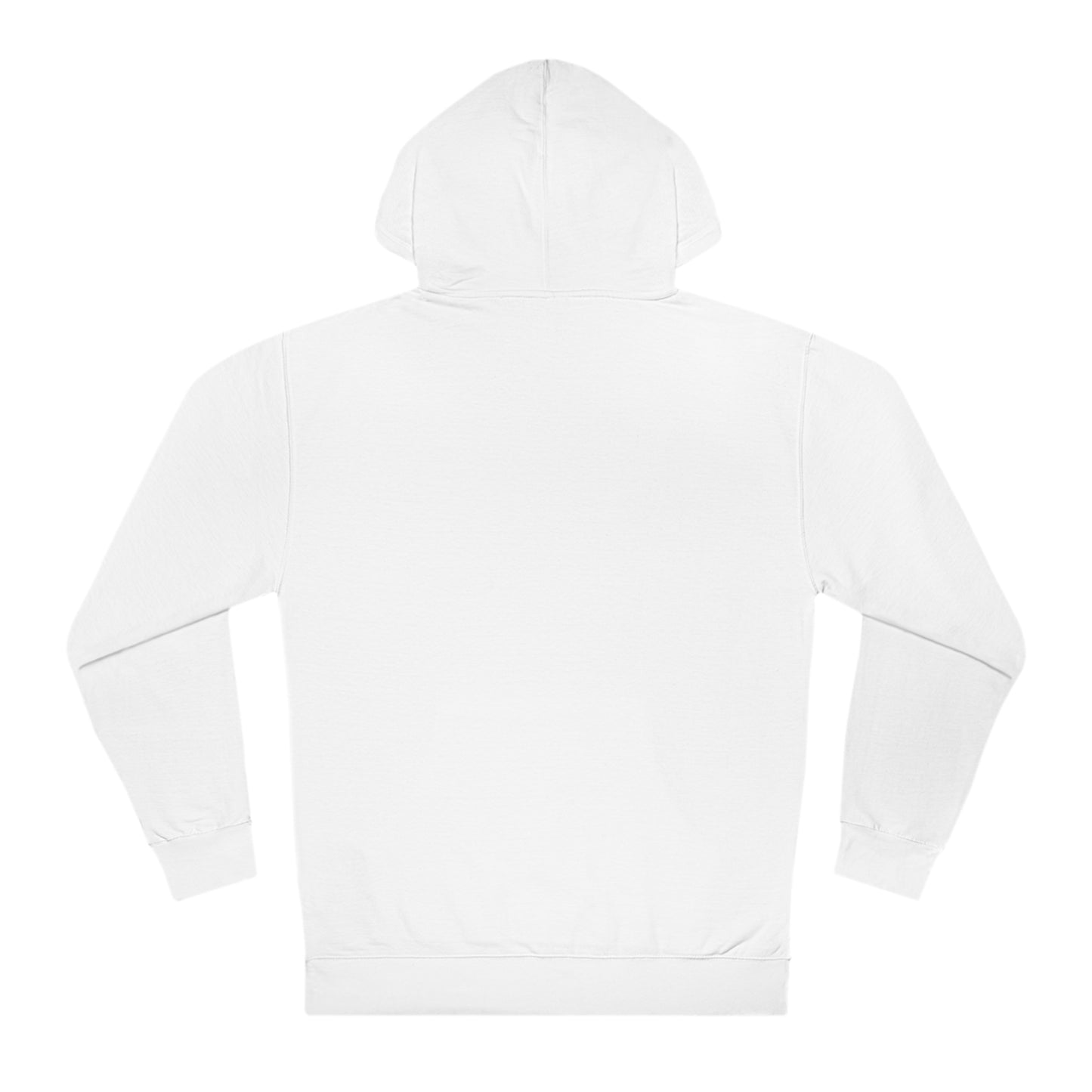 STARTED FROM THE BOTTOM QUAJON HOODIE (PULLOVER)